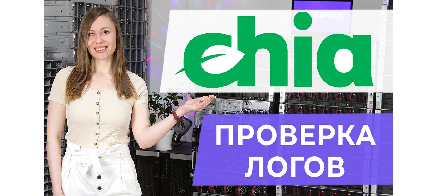 Проверяем логи и ошибки Chia